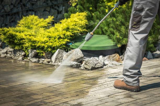 Best Winterizing Services  in Wheat Ridge, CO